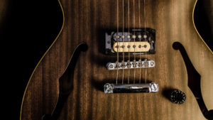 closeup of guitar strings and bridge